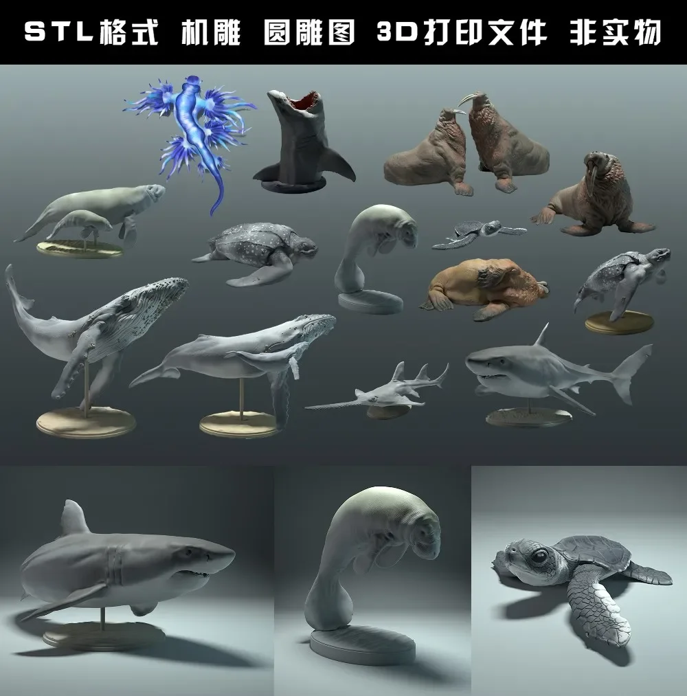 Zwierzęta, niedźwiedź polarny, – 3D Printing File Stl recenzja i cena